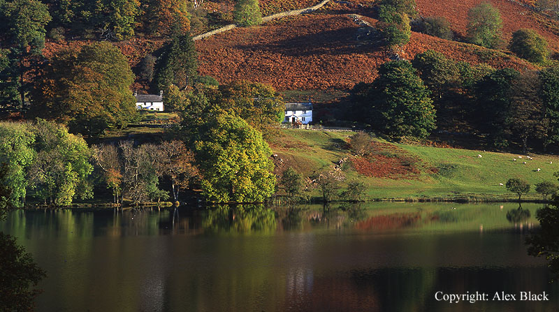 Cottages at Loughrigg Tarn, Langdale