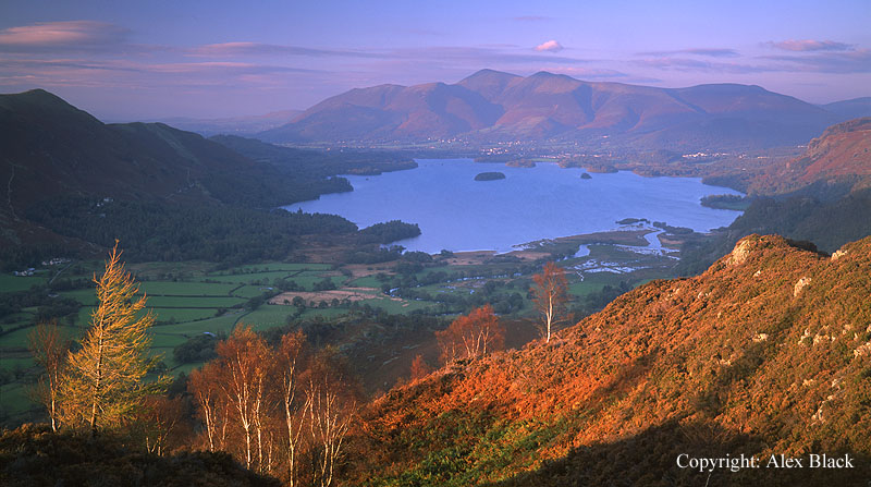Derwent Water and Skiddaw from Kings How