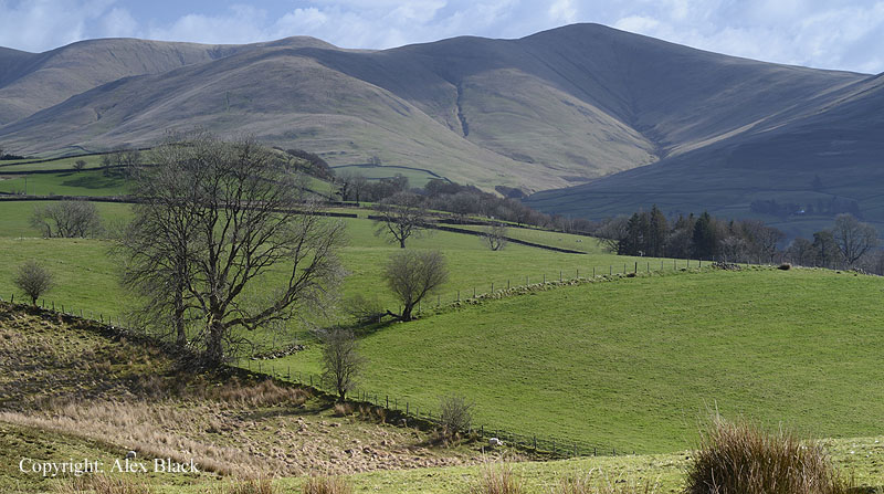 The Howgill Fells from Kirk Bank