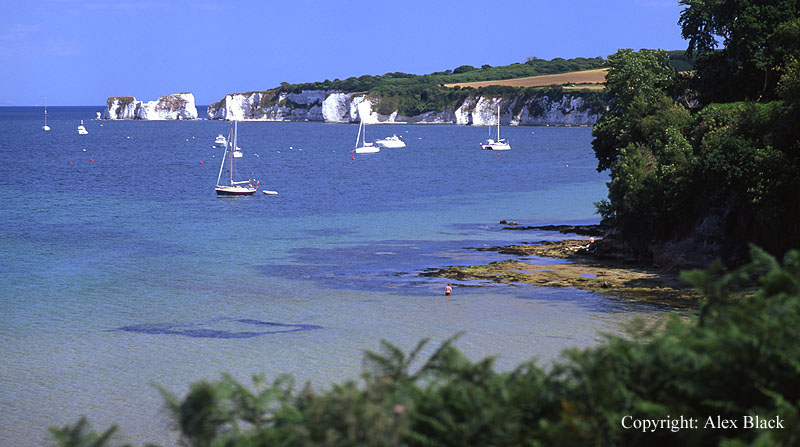Old Harry Rocks from Middlebeach, Studland